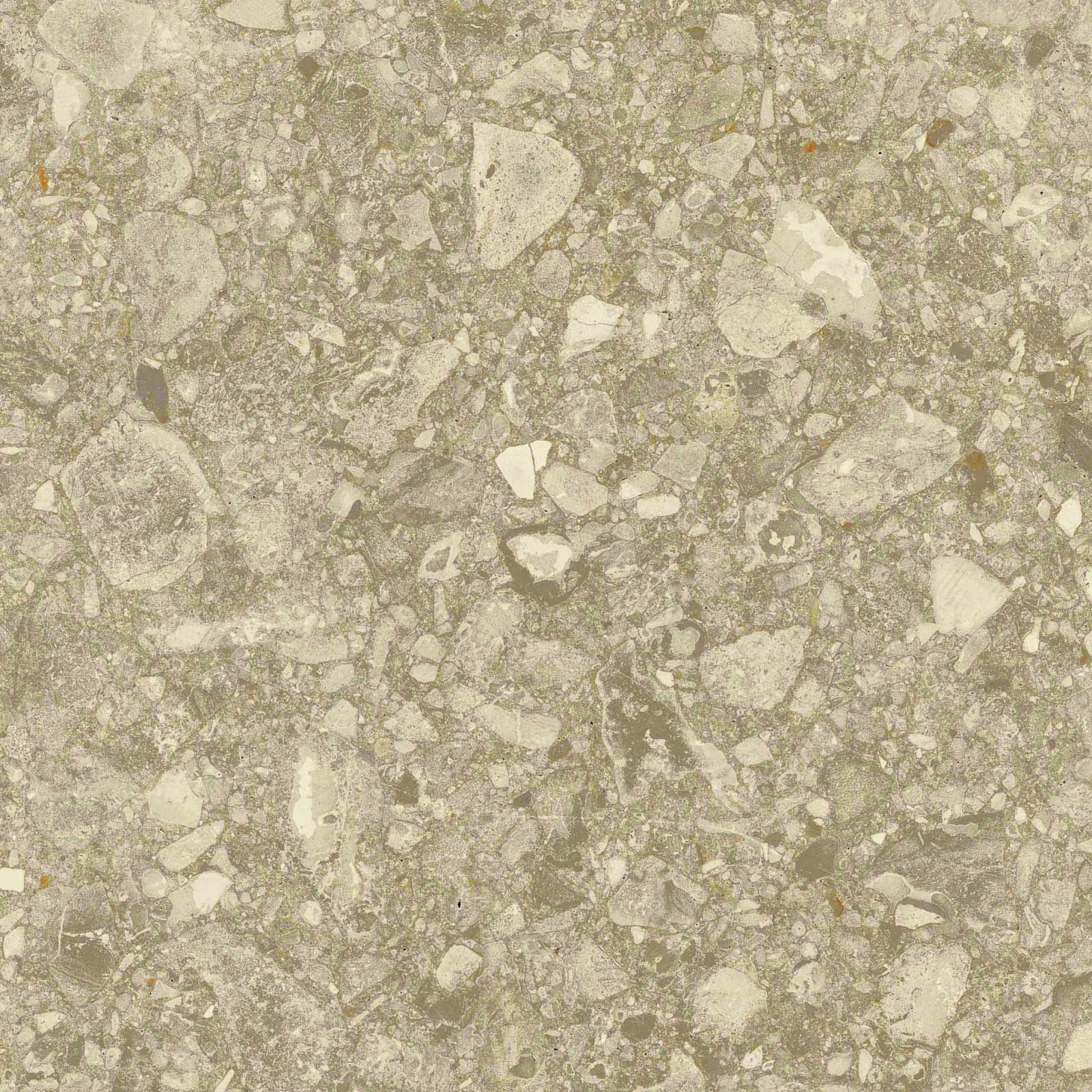 PLATINUM 50X50 DETROIT BROWN (DIS)